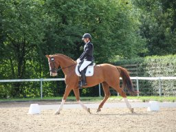 IMG_1132_web